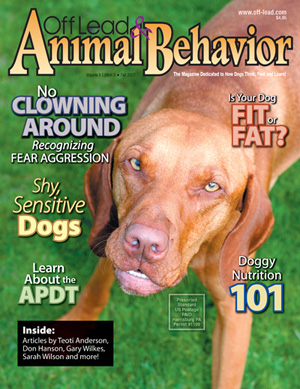 animal behaviour magazine