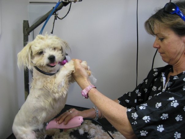 Susanne Bond & canine customer