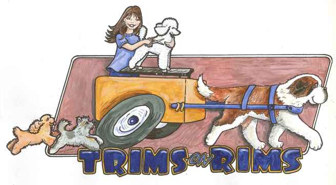 Trims On Rims